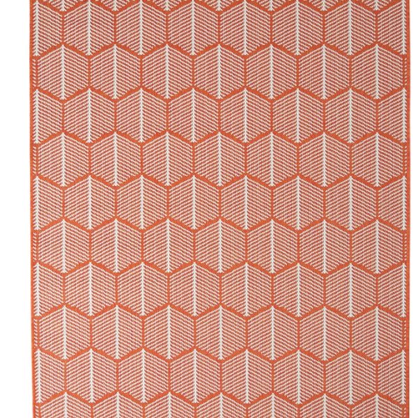 560 orange 1
