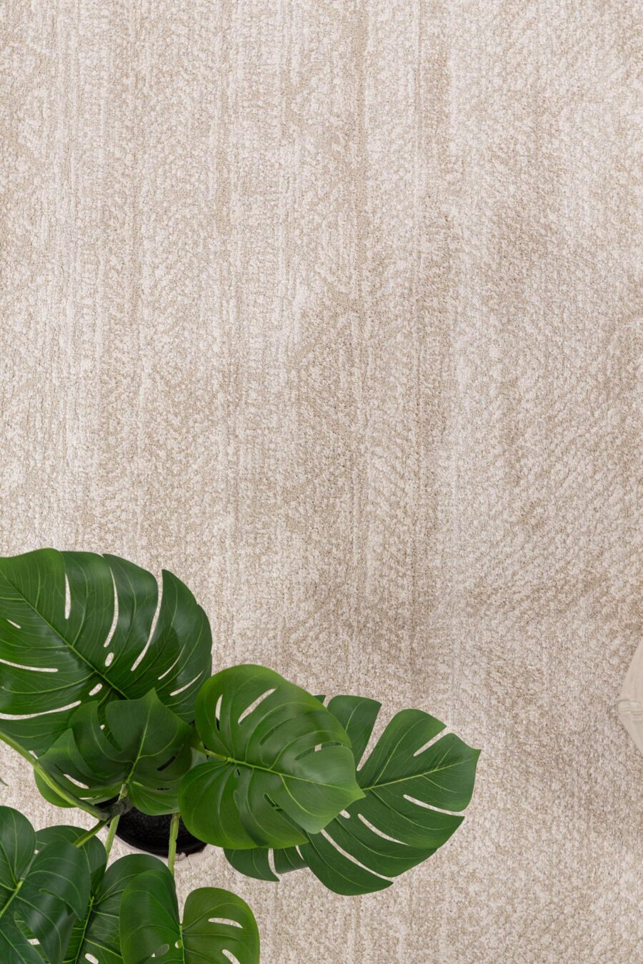 Μοντέρνο Χαλί Solid 1391 CREAM Royal Carpet - 200 x 300 cm - Image 3