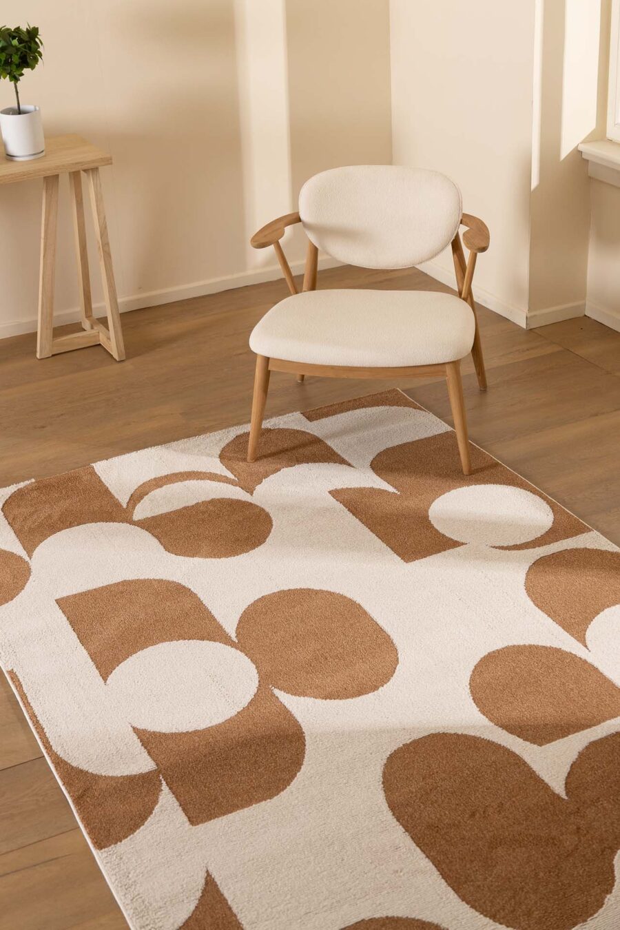 Χαλί Century 894B TERRA Royal Carpet - 200 x 290 cm - Image 3